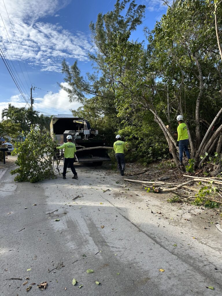 Lot clearing
