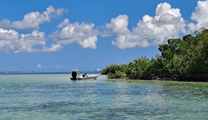 Sugarloaf Key, FL