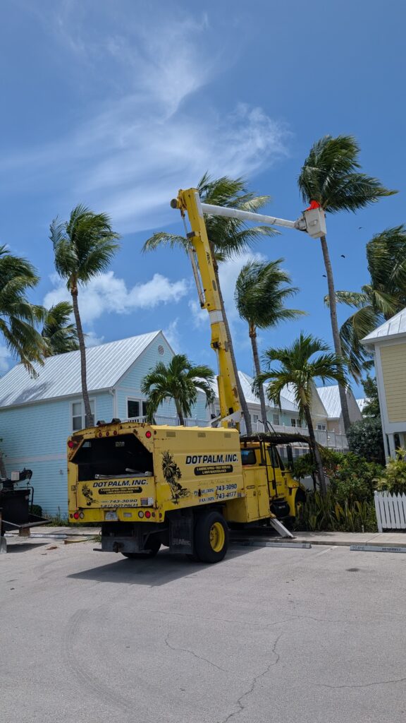 Coco Plum Beach landscaping services creating beautiful outdoor spaces