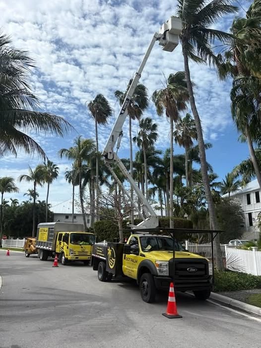 Dot Palm bucket truck and chipper truck for tree trimming in Key West, FL
