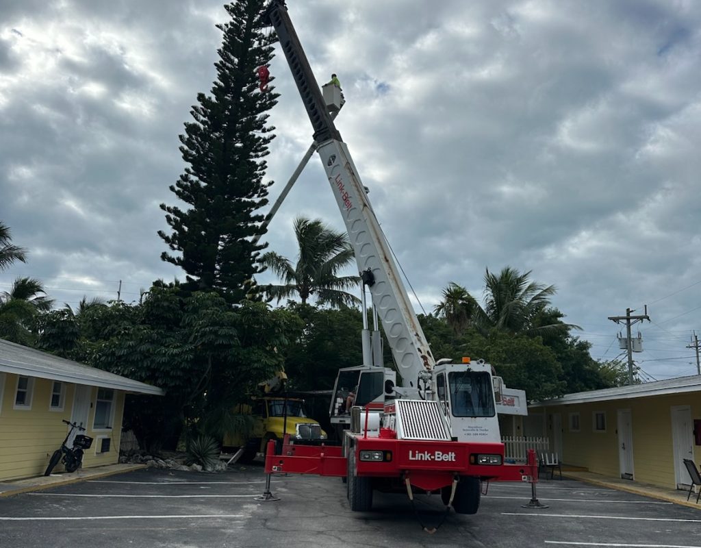 Tree removal with crane