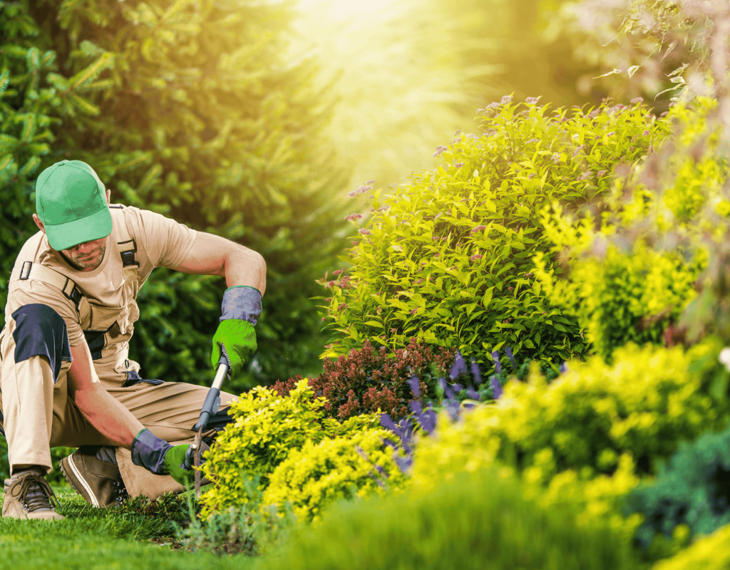 Dot Palm Landscaping expert performing landscape enhancements in Marathon FL