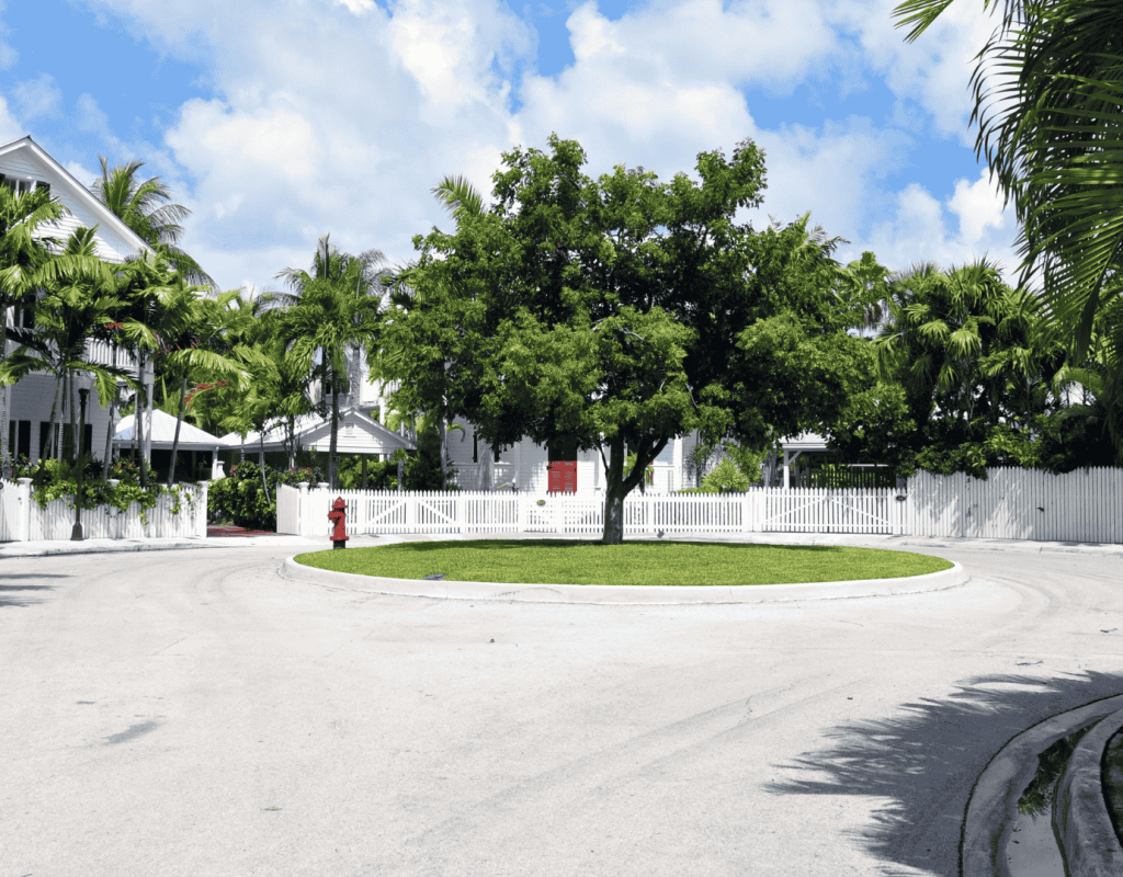 Professional landscape enhancement services in Marathon FL by Dot Palm Landscaping