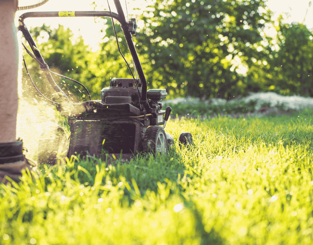 Dot Palm Landscaping expert lawn care and maintenance service in Marathon FL