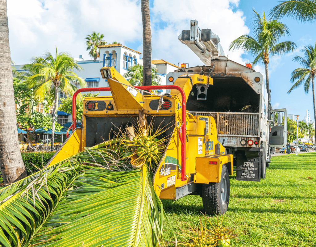 Routine landscape maintenance services by Dot Palm Landscaping in Marathon FL